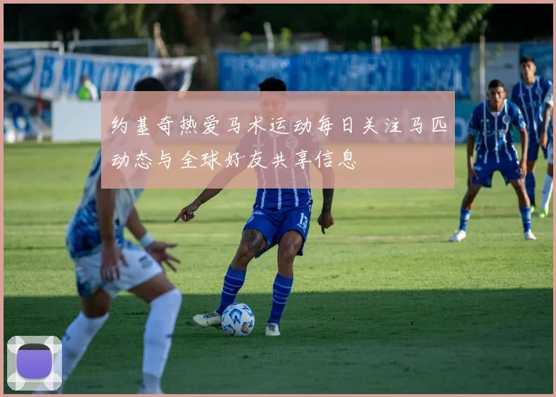 约基奇热爱马术运动每日关注马匹动态与全球好友共享信息