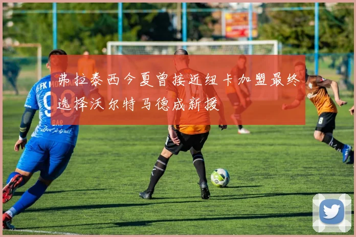 弗拉泰西今夏曾接近纽卡加盟最终选择沃尔特马德成新援