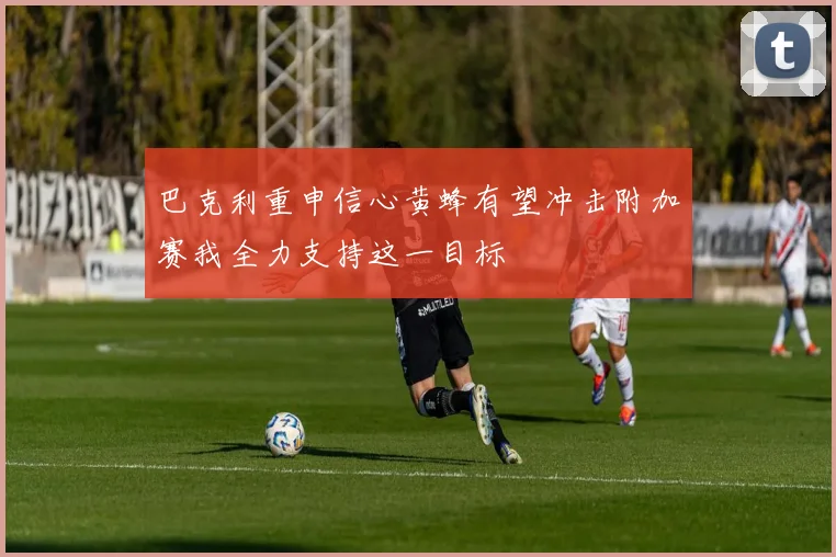 巴克利重申信心黄蜂有望冲击附加赛我全力支持这一目标